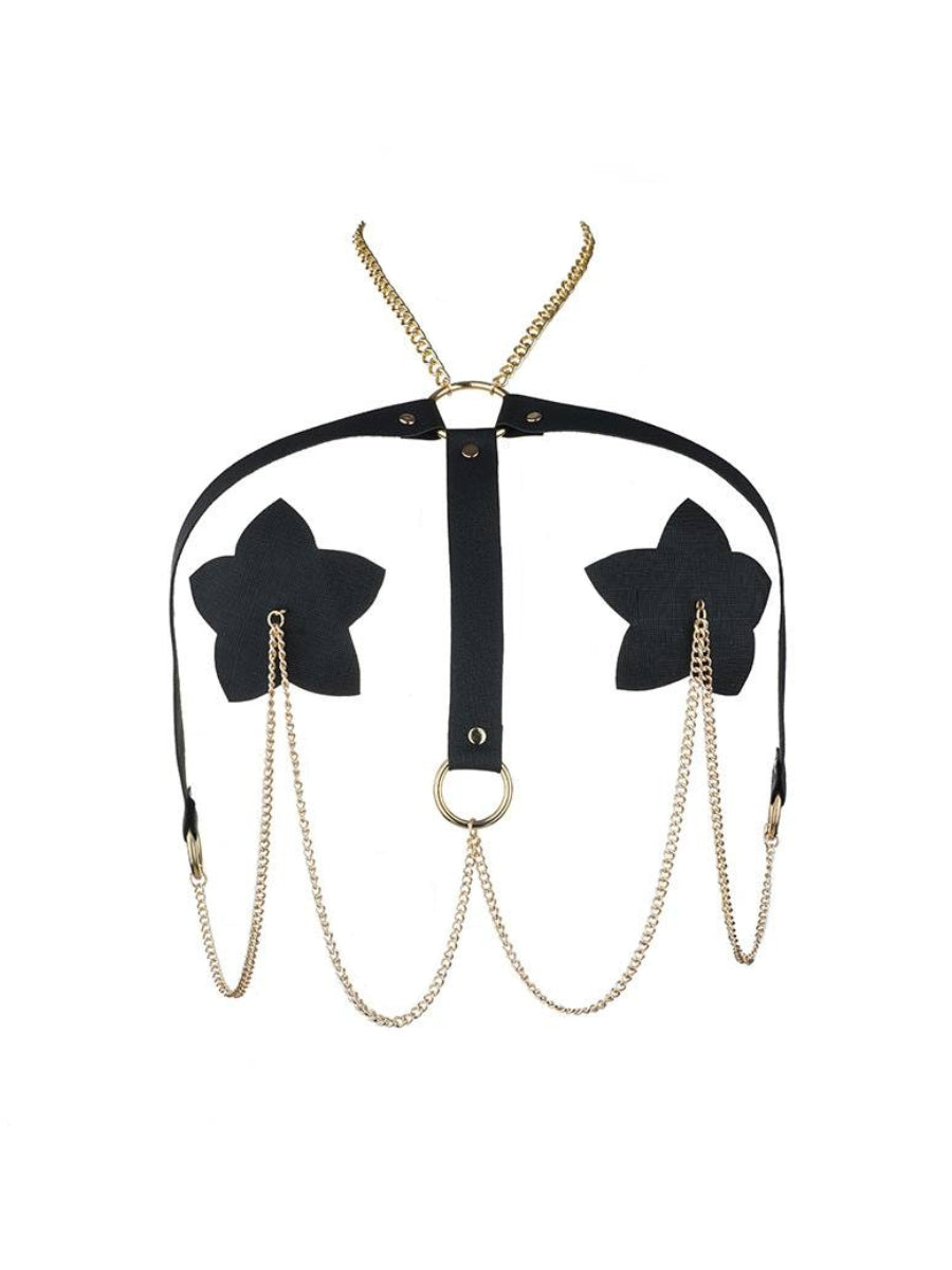 Astra Nipple Pasties product image 2